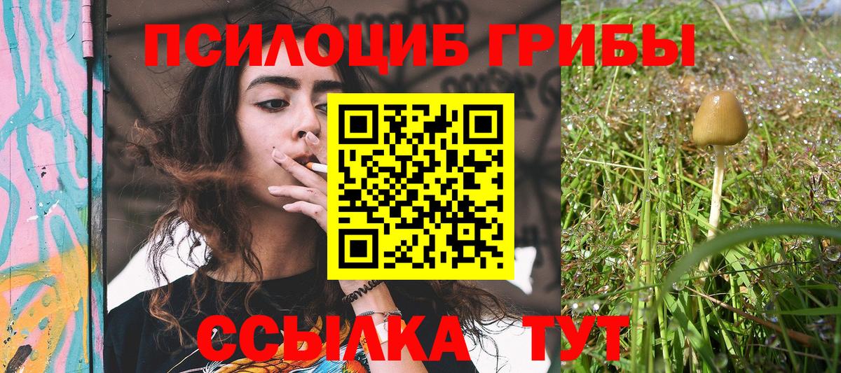 Галлюциногенные грибы Psilocybine cubensis  закладка  Шали  Псилоцибиновые грибы GOLDEN TEACHER  Вход с VPN 