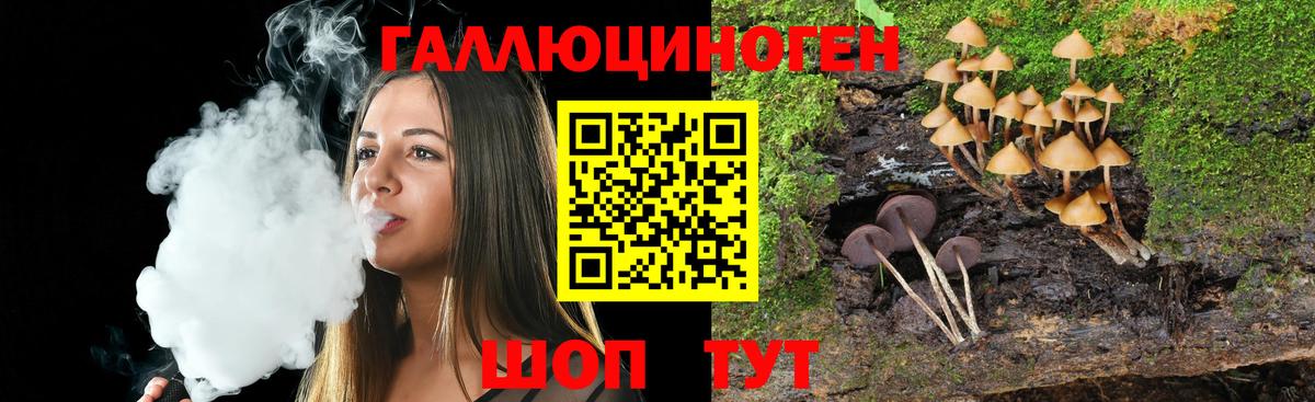 Псилоцибиновые грибы MAGIC MUSHROOMS Шали